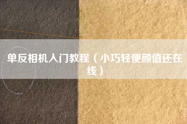 单反相机入门教程（小巧轻便颜值还在线）