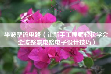 半波整流电路(让新手工程师轻松学会全波整流电路电子设计技巧)