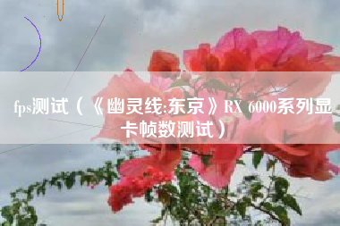 fps测试（《幽灵线:东京》RX 6000系列显卡帧数测试）