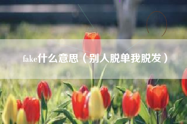 fake什么意思(别人脱单我脱发)