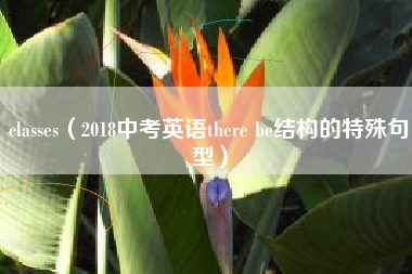 详细阅读:classes(2018中考英语there be结构的特殊句型) classes(2018中考英语there be结构的特殊句型)