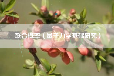 联合概率(量子力学基础研究)