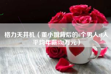 格力天井机（董小姐背后的6个男人:4人平均年薪352万元）
