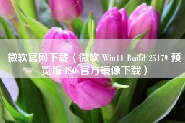 微软官网下载（微软 Win11 Build 25179 预览版 ISO 官方镜像下载）