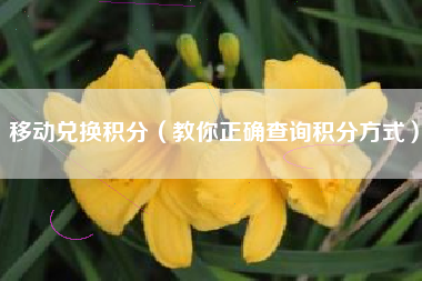 移动兑换积分(教你正确查询积分方式)