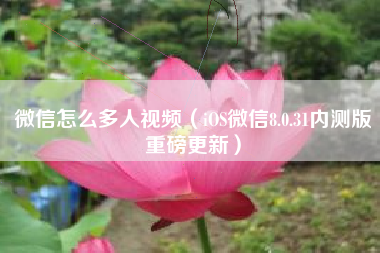 微信怎么多人视频（iOS微信8.0.31内测版重磅更新）