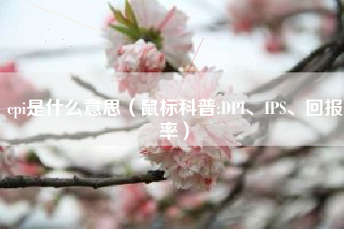 cpi是什么意思（鼠标科普:DPI、IPS、回报率）