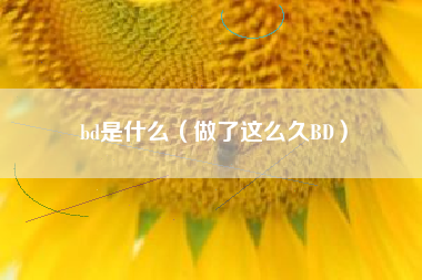 bd是什么（做了这么久BD）