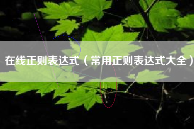 在线正则表达式（常用正则表达式大全）