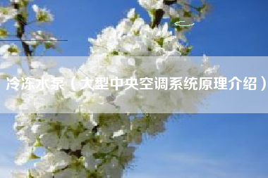 冷冻水泵（大型中央空调系统原理介绍）