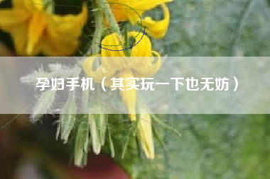 孕妇手机(其实玩一下也无妨)