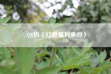 QR码（红包福利来啦）