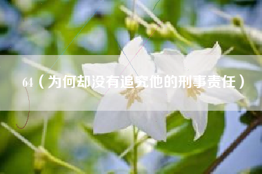 64(为何却没有追究他的刑事责任)