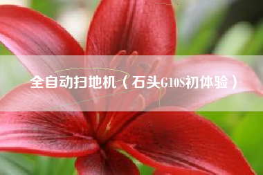 全自动扫地机（石头G10S初体验）