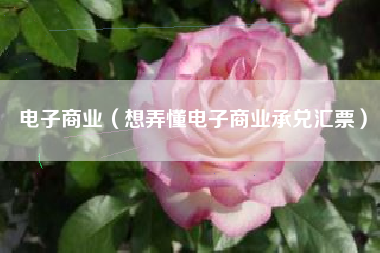 详细阅读:电子商业(想弄懂电子商业承兑汇票) 电子商业(想弄懂电子商业承兑汇票)