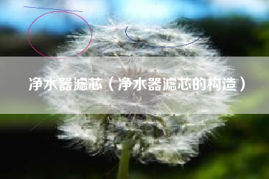 净水器滤芯（净水器滤芯的构造）