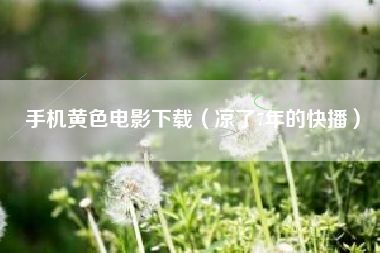 手机黄色电影下载（凉了7年的快播）