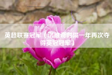 英超联赛冠军（诺维奇时隔一年再次夺得英冠冠军）