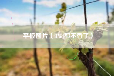 平板图片（iPad都不香了）