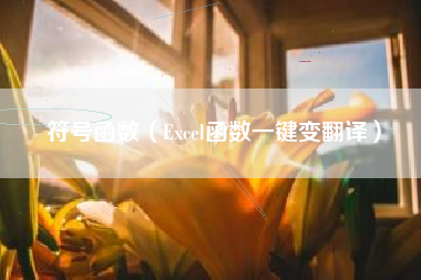 符号函数(Excel函数一键变翻译)