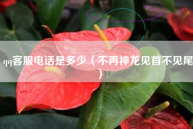 qq客服电话是多少（不再神龙见首不见尾）