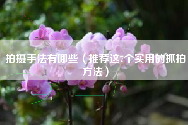 拍摄手法有哪些（推荐这7个实用的抓拍方法）