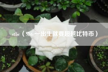 stbc(Sbtc一出生就要超越比特币)