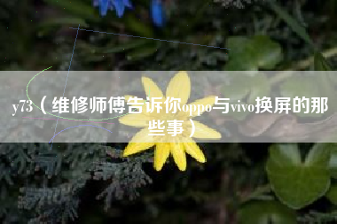 y73（维修师傅告诉你oppo与vivo换屏的那些事）