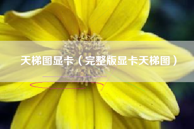详细阅读:天梯图显卡(完整版显卡天梯图) 天梯图显卡(完整版显卡天梯图)