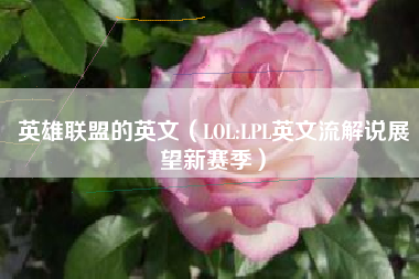 英雄联盟的英文（LOL:LPL英文流解说展望新赛季）