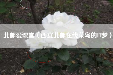 北邮爱课堂(西安北邮在线菜鸟的IT梦)