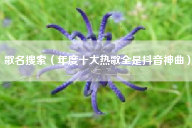 歌名搜索(年度十大热歌全是抖音神曲)