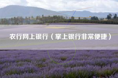 农行网上银行（掌上银行非常便捷）