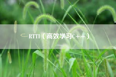 RTTI（高效学习C++）