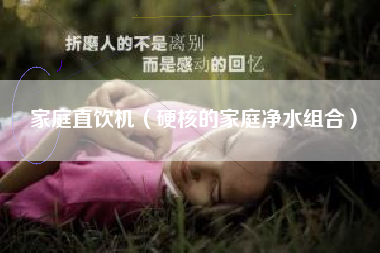 家庭直饮机（硬核的家庭净水组合）