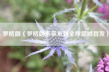 罗格朗(罗格朗未莱系列全球震撼首发)