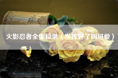 火影忍者全集目录(发挥好了叫可爱)
