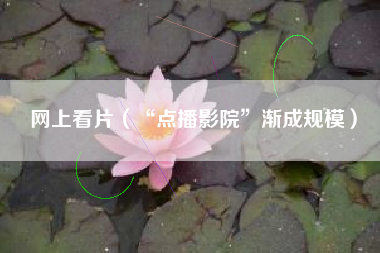 网上看片(“点播影院”渐成规模)