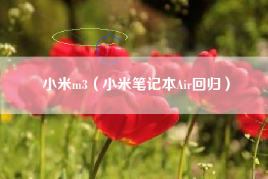 小米m3（小米笔记本Air回归）
