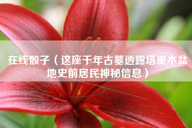 在线骰子(这座千年古墓透露塔里木盆地史前居民神秘信息)