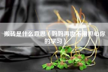 搬砖是什么意思（妈妈再也不用担心你的学习）