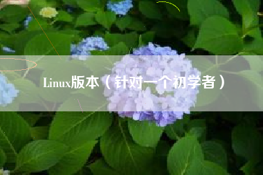 Linux版本(针对一个初学者)