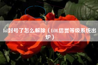 lol封号了怎么解除(LOL信誉等级系统出炉)