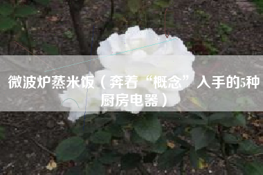 微波炉蒸米饭（奔着“概念”入手的5种厨房电器）