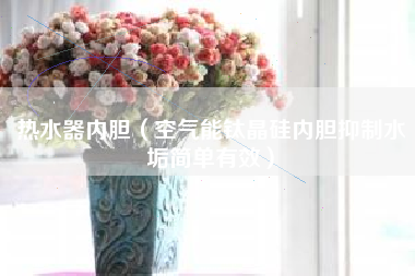 热水器内胆（空气能钛晶硅内胆抑制水垢简单有效）