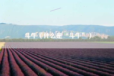斗牛(什么是“斗牛”)