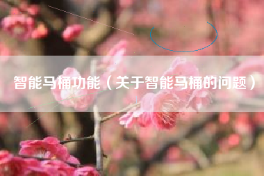 智能马桶功能（关于智能马桶的问题）