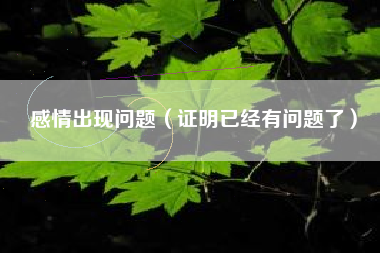 感情出现问题（证明已经有问题了）