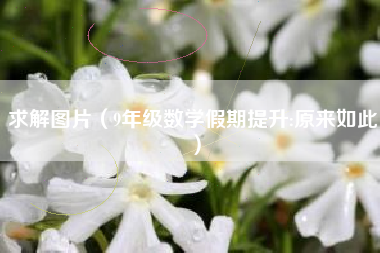 求解图片（9年级数学假期提升:原来如此）