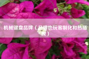 机械键盘品牌(品牌也玩客制化和热插拔)